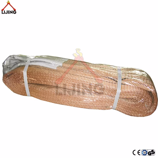 Eslingas de cinta de elevação de poliéster 6t BS En1492